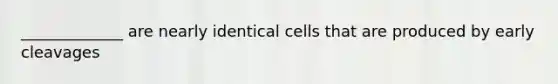 _____________ are nearly identical cells that are produced by early cleavages