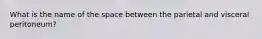 What is the name of the space between the parietal and visceral peritoneum?