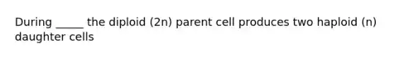 During _____ the diploid (2n) parent cell produces two haploid (n) daughter cells