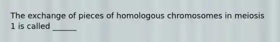 The exchange of pieces of homologous chromosomes in meiosis 1 is called ______