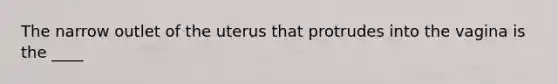 The narrow outlet of the uterus that protrudes into the vagina is the ____