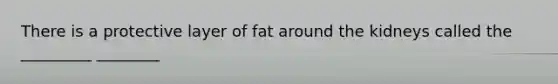 There is a protective layer of fat around the kidneys called the _________ ________