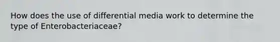 How does the use of differential media work to determine the type of Enterobacteriaceae?