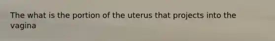 The what is the portion of the uterus that projects into the vagina