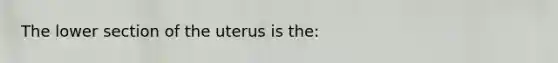 The lower section of the uterus is the: