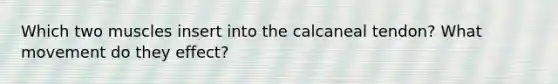 Which two muscles insert into the calcaneal tendon? What movement do they effect?