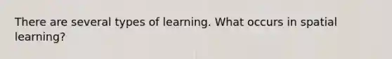 There are several types of learning. What occurs in spatial learning?