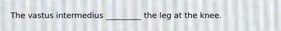 The vastus intermedius _________ the leg at the knee.