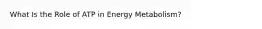 What Is the Role of ATP in Energy Metabolism?