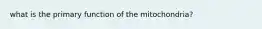 what is the primary function of the mitochondria?