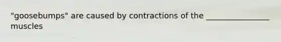 "goosebumps" are caused by contractions of the ________________ muscles