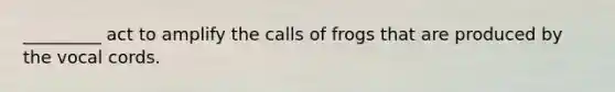 _________ act to amplify the calls of frogs that are produced by the vocal cords.