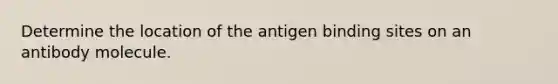 Determine the location of the antigen binding sites on an antibody molecule.