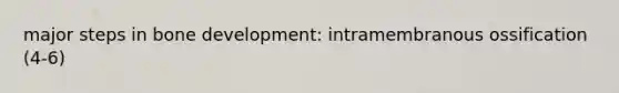 major steps in <a href='https://www.questionai.com/knowledge/k5keL4Exkf-bone-development' class='anchor-knowledge'>bone development</a>: intramembranous ossification (4-6)