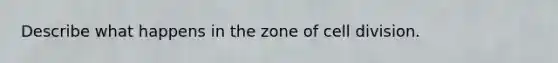 Describe what happens in the zone of <a href='https://www.questionai.com/knowledge/kjHVAH8Me4-cell-division' class='anchor-knowledge'>cell division</a>.