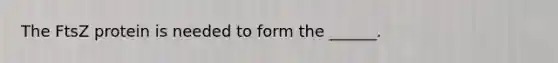 The FtsZ protein is needed to form the ______.