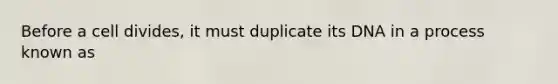 Before a cell divides, it must duplicate its DNA in a process known as