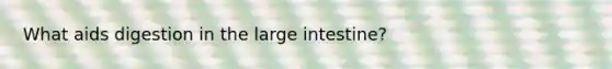 What aids digestion in the <a href='https://www.questionai.com/knowledge/kGQjby07OK-large-intestine' class='anchor-knowledge'>large intestine</a>?