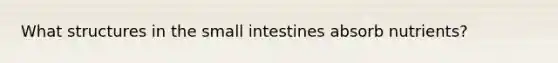 What structures in the small intestines absorb nutrients?