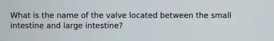 What is the name of the valve located between <a href='https://www.questionai.com/knowledge/kt623fh5xn-the-small-intestine' class='anchor-knowledge'>the small intestine</a> and <a href='https://www.questionai.com/knowledge/kGQjby07OK-large-intestine' class='anchor-knowledge'>large intestine</a>?