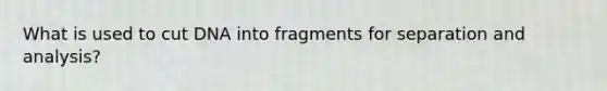 What is used to cut DNA into fragments for separation and analysis?