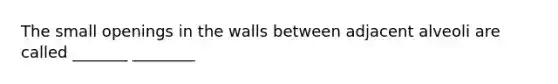 The small openings in the walls between adjacent alveoli are called _______ ________