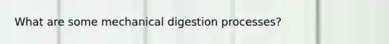 What are some mechanical digestion processes?