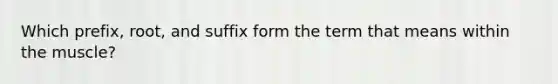 Which prefix, root, and suffix form the term that means within the muscle?