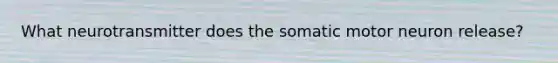 What neurotransmitter does the somatic motor neuron release?