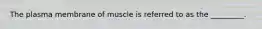 The plasma membrane of muscle is referred to as the _________.