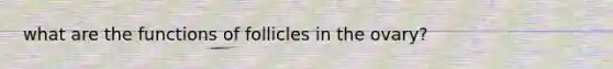 what are the functions of follicles in the ovary?