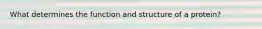 What determines the function and structure of a protein?