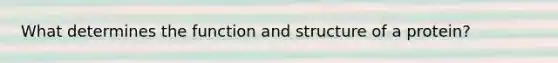 What determines the function and structure of a protein?