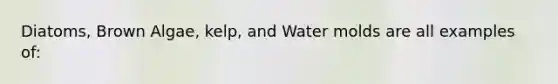 Diatoms, Brown Algae, kelp, and <a href='https://www.questionai.com/knowledge/kIFNBmzf0u-water-molds' class='anchor-knowledge'>water molds</a> are all examples of: