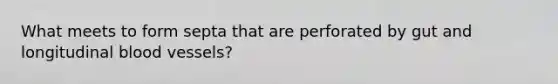 What meets to form septa that are perforated by gut and longitudinal <a href='https://www.questionai.com/knowledge/kZJ3mNKN7P-blood-vessels' class='anchor-knowledge'>blood vessels</a>?
