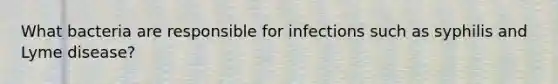 What bacteria are responsible for infections such as syphilis and Lyme disease?