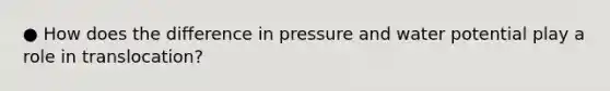 ● How does the difference in pressure and water potential play a role in translocation?