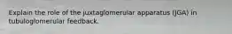 Explain the role of the juxtaglomerular apparatus (JGA) in tubuloglomerular feedback.