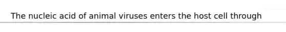 The nucleic acid of animal viruses enters the host cell through