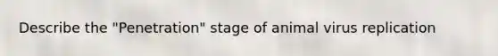 Describe the "Penetration" stage of animal virus replication