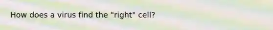 How does a virus find the "right" cell?