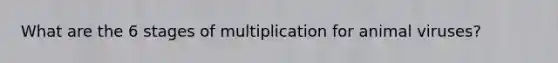 What are the 6 stages of multiplication for animal viruses?