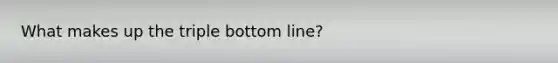 What makes up the triple bottom line?