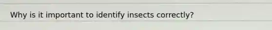 Why is it important to identify insects correctly?