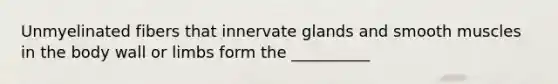 Unmyelinated fibers that innervate glands and smooth muscles in the body wall or limbs form the __________