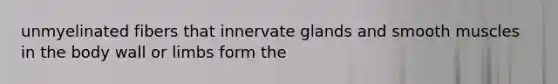 unmyelinated fibers that innervate glands and smooth muscles in the body wall or limbs form the