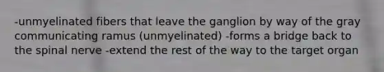 -unmyelinated fibers that leave the ganglion by way of the gray communicating ramus (unmyelinated) -forms a bridge back to the spinal nerve -extend the rest of the way to the target organ