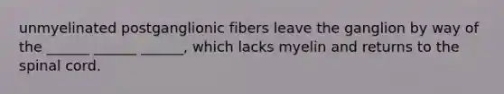 unmyelinated postganglionic fibers leave the ganglion by way of the ______ ______ ______, which lacks myelin and returns to the spinal cord.