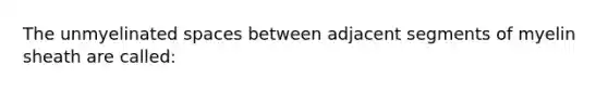 The unmyelinated spaces between adjacent segments of myelin sheath are called: