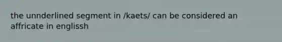 the unnderlined segment in /kaets/ can be considered an affricate in englissh